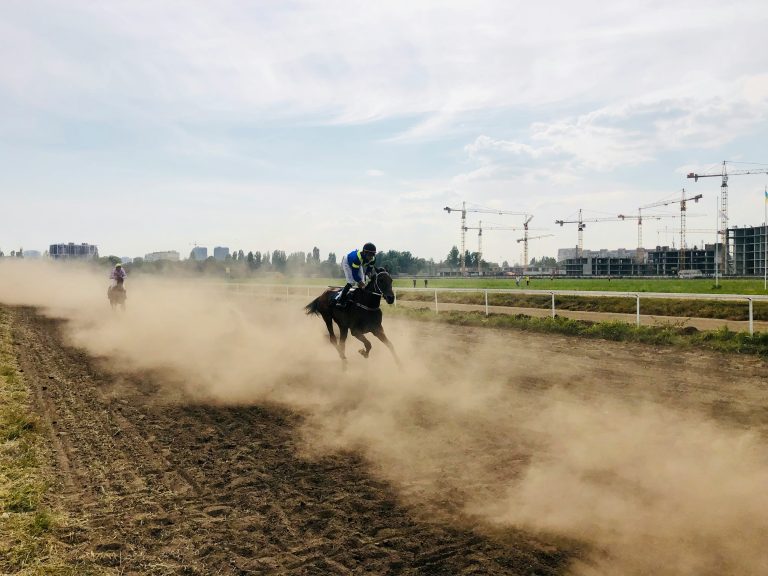 horse