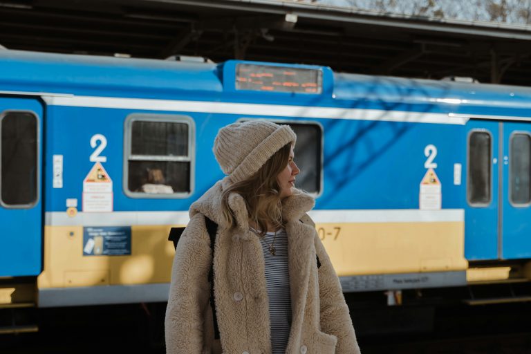 Traveller