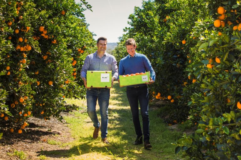 OSY Group Partners with Mpact to Extend Fruit Shelf Life in Africa Manchester Based OSY Group Expands Global Footprint with Southern Africa Deal