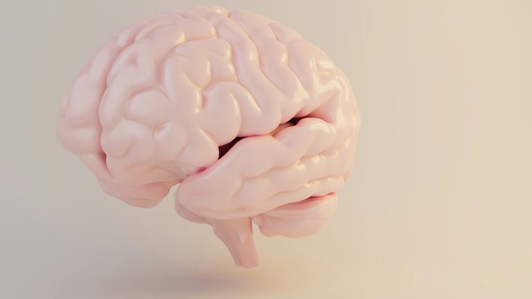 Don’t Apply Yet! 5 Harsh Truths About the MSc Psychology Conversion in the UK MSc Psychology Conversion in the UK Is It the Right Choice for You