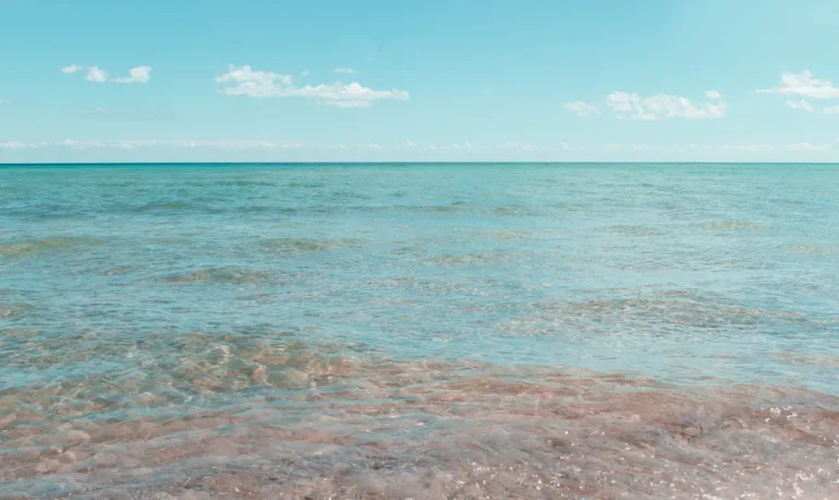 Lake Ontario Name Change: Which Maps Apps Are Holding Out Lake Ontario name change