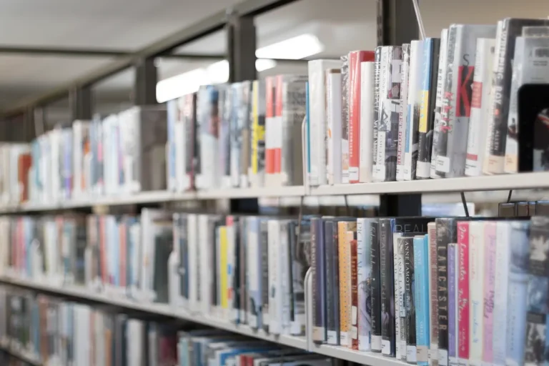 Libby App Tips and Tricks to Get More From Your Library Loans Libby app tips tricks