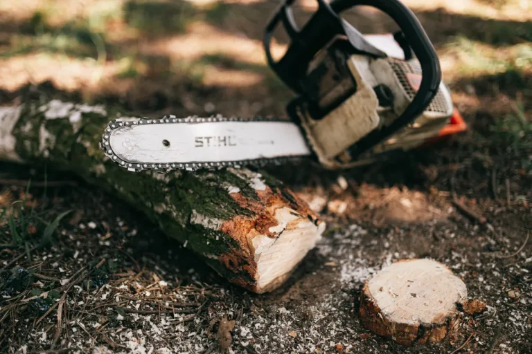 Greenworks Prime Day Deals: Nine Outdoor Tools Worth Buying Right Now Greenworks Prime Day deals